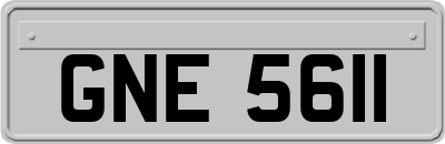 GNE5611