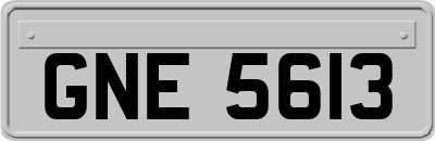 GNE5613