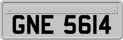 GNE5614