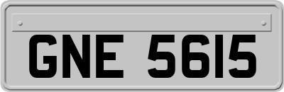 GNE5615