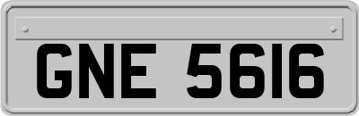 GNE5616
