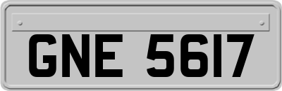 GNE5617