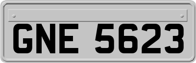 GNE5623