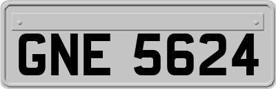 GNE5624