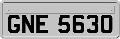 GNE5630