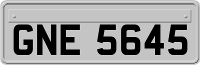 GNE5645