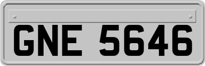GNE5646