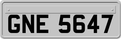 GNE5647
