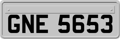 GNE5653