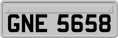 GNE5658