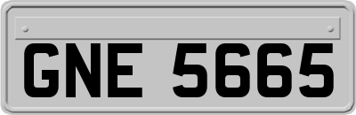GNE5665