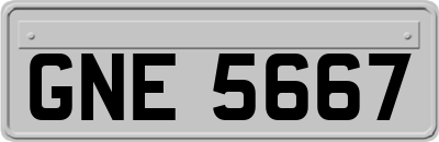 GNE5667