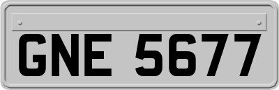 GNE5677