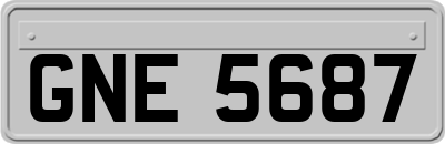 GNE5687
