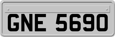 GNE5690
