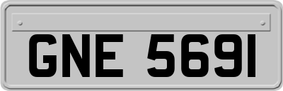 GNE5691