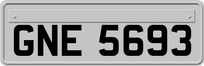 GNE5693