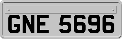 GNE5696