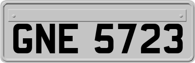 GNE5723