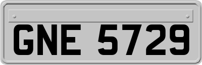GNE5729