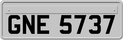GNE5737