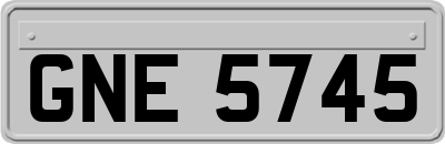 GNE5745