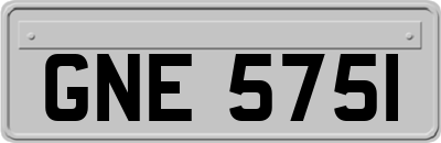 GNE5751