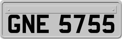 GNE5755