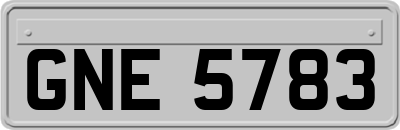 GNE5783