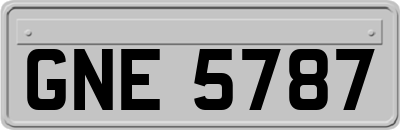 GNE5787