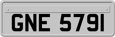 GNE5791