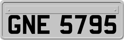 GNE5795
