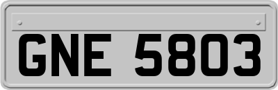 GNE5803