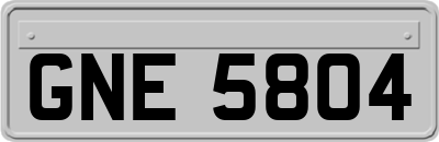 GNE5804