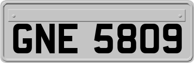 GNE5809