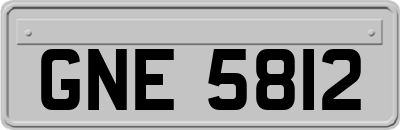 GNE5812