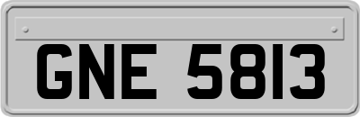 GNE5813