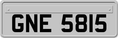 GNE5815