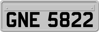 GNE5822