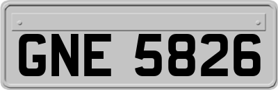 GNE5826