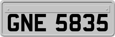 GNE5835