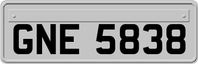 GNE5838