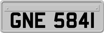 GNE5841