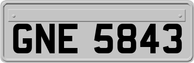GNE5843