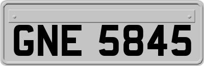 GNE5845