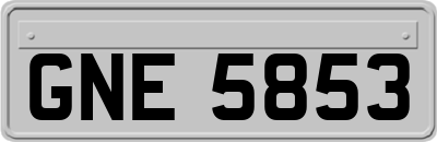 GNE5853