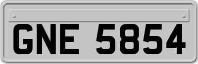 GNE5854