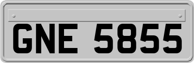 GNE5855