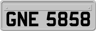 GNE5858