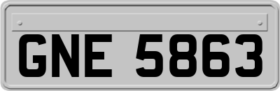 GNE5863